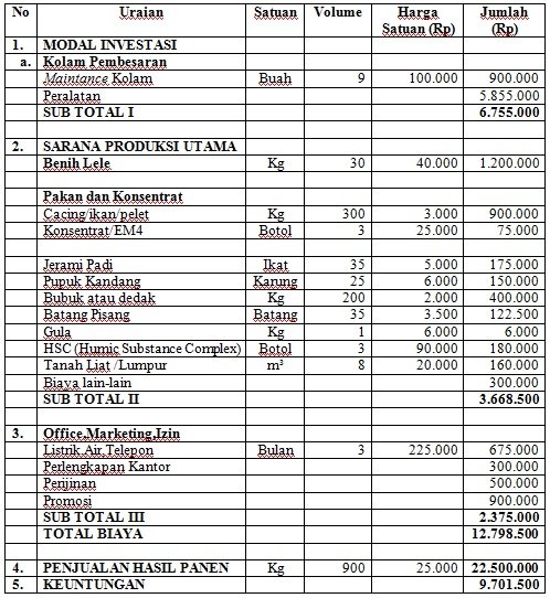 Contoh Proposal Usaha Pembudidayaan dan Pengolahan Lele 