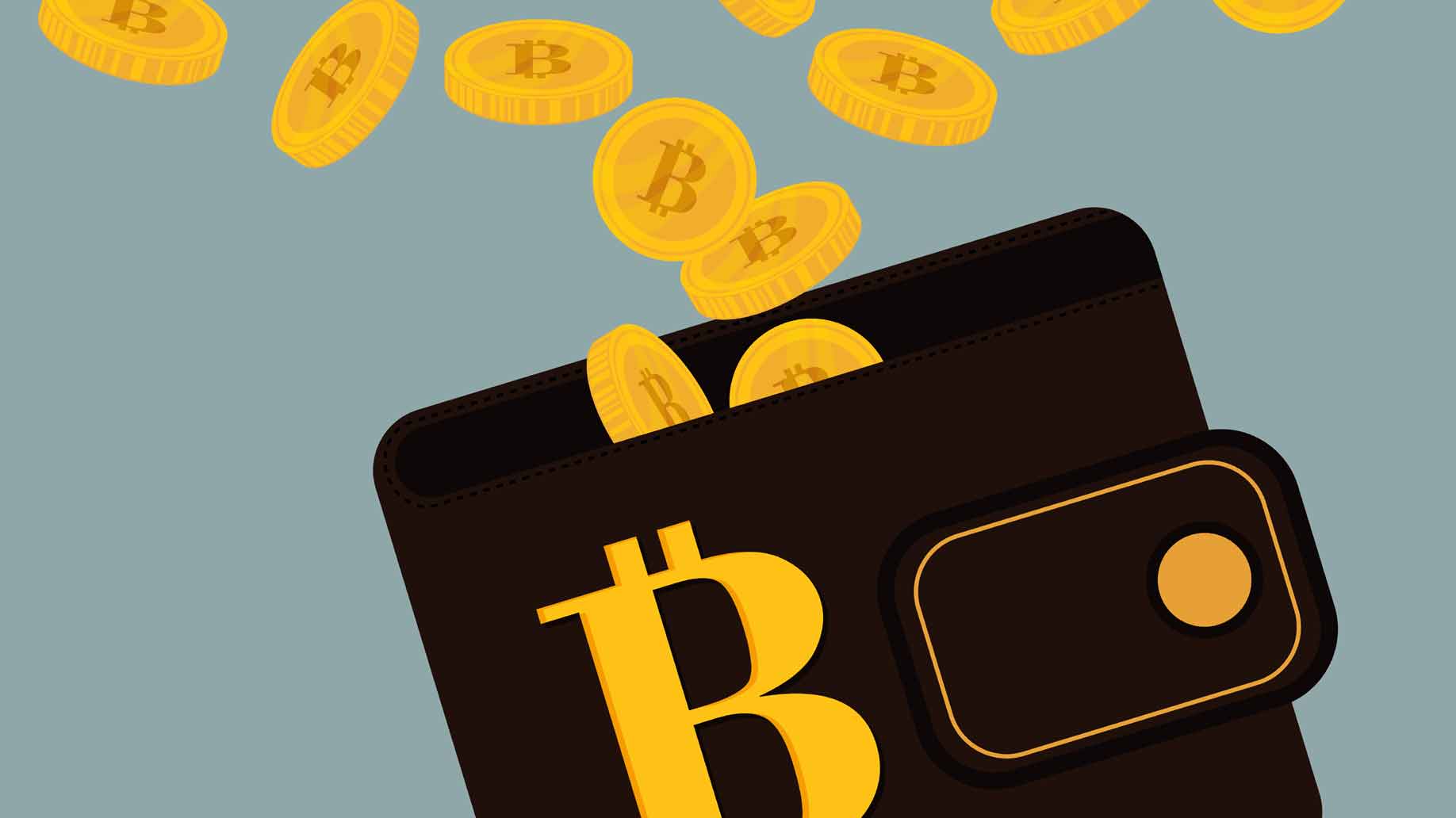 Rekomendasi Dompet Bitcoin untuk Para Bitcoiners 12