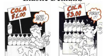 Elastisitas Permintaan (Elasticity of Demand)