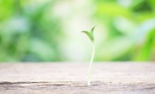 cara memulai investasi bagi pemula