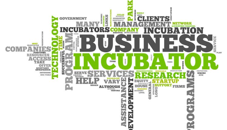 Apa itu Perusahaan Inkubator Bisnis? Ini Penjelasannya ...