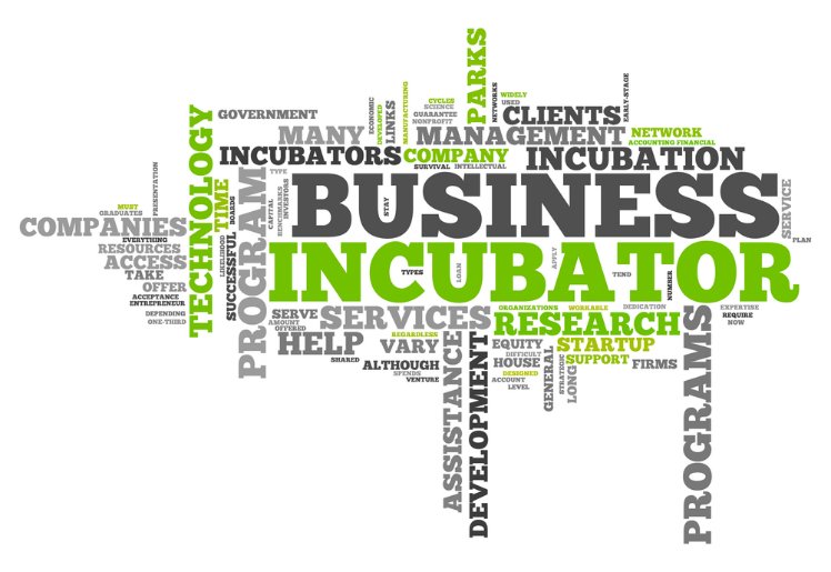 pengertian perusahaan inkubator bisnis
